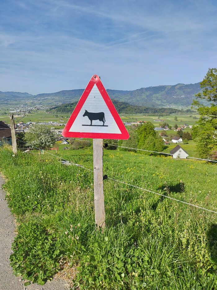 Achtung Kühe beim Honora Zen Kloster