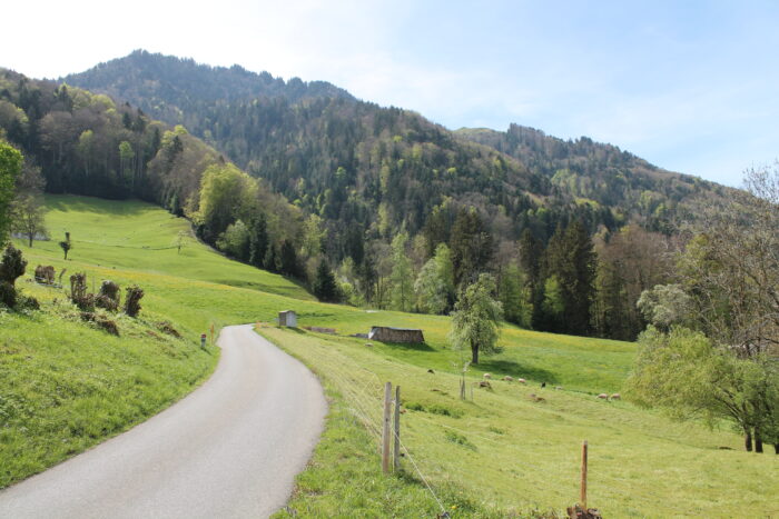 Honora Zen Kloster - Meditationszentrum in Reichenburg in der Schweiz