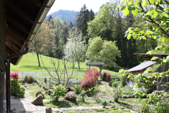 Honora Zen Kloster - Meditationszentrum in Reichenburg in der Schweiz