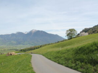 Aussicht vom Honora Zen Kloster - Meditationszentrum in Reichenburg in der Schweiz zum Federispitz