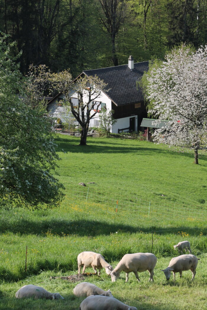 Honora Zen Kloster - Meditationszentrum in Reichenburg in der Schweiz