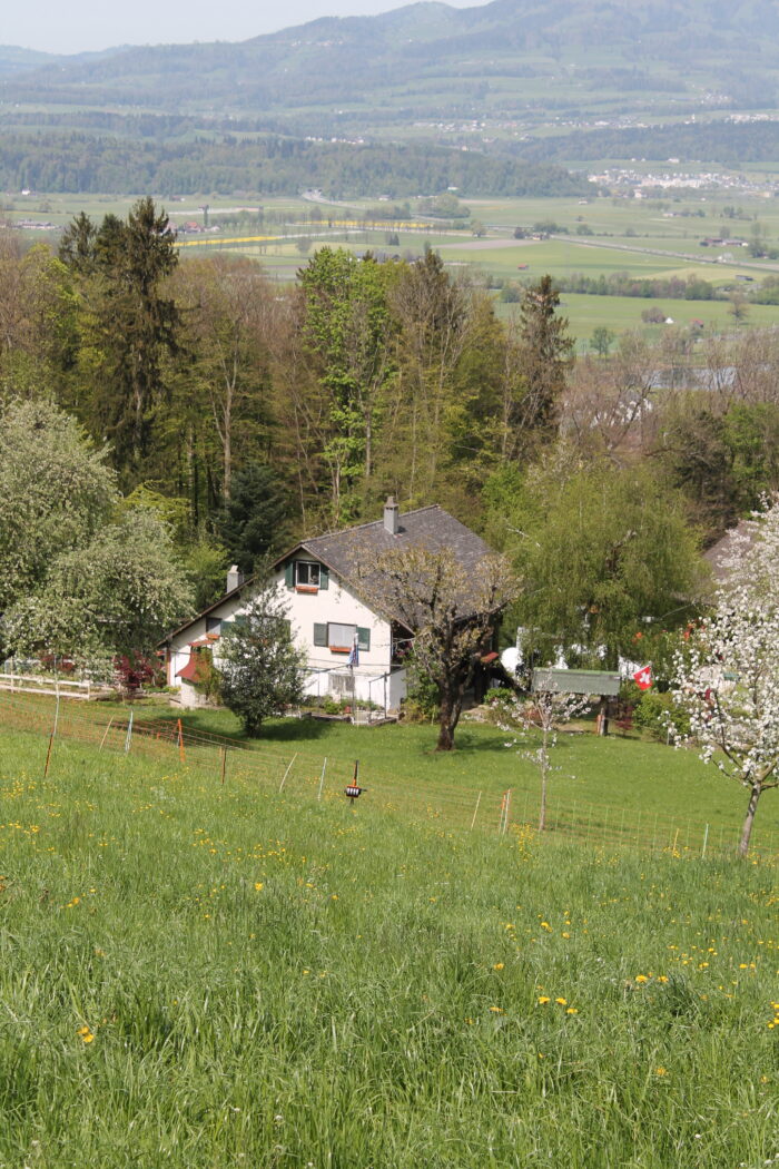 Honora Zen Kloster - Meditationszentrum in Reichenburg in der Schweiz