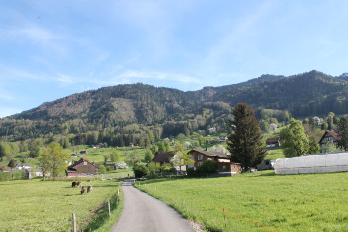 Honora Zen Kloster - Meditationszentrum in Reichenburg in der Schweiz