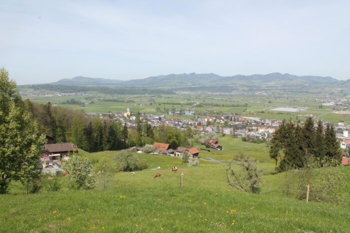 Honora Zen Kloster - Meditationszentrum in Reichenburg in der Schweiz