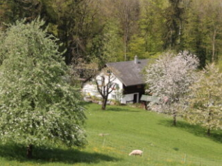 Honora Zen Kloster - Meditationszentrum in Reichenburg in der Schweiz