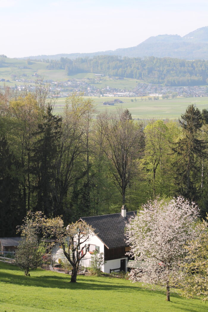 Honora Zen Kloster - Meditationszentrum in Reichenburg in der Schweiz