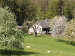 Honora Zen Kloster - Meditationszentrum in Reichenburg in der Schweiz