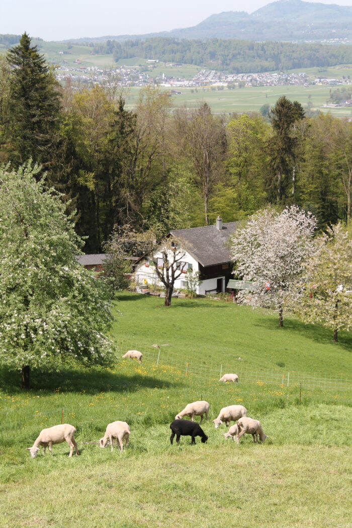 Honora Zen Kloster - Meditationszentrum in Reichenburg in der Schweiz