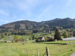 Honora Zen Kloster - Meditationszentrum in der Schweiz