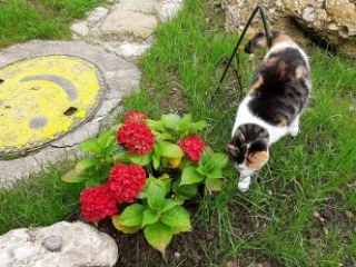 Honora Zen Kloster ein Ort für Meditation, Retreat und Auszeit