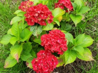 Honora Zen Kloster ein Ort für Meditation, Retreat und Auszeit