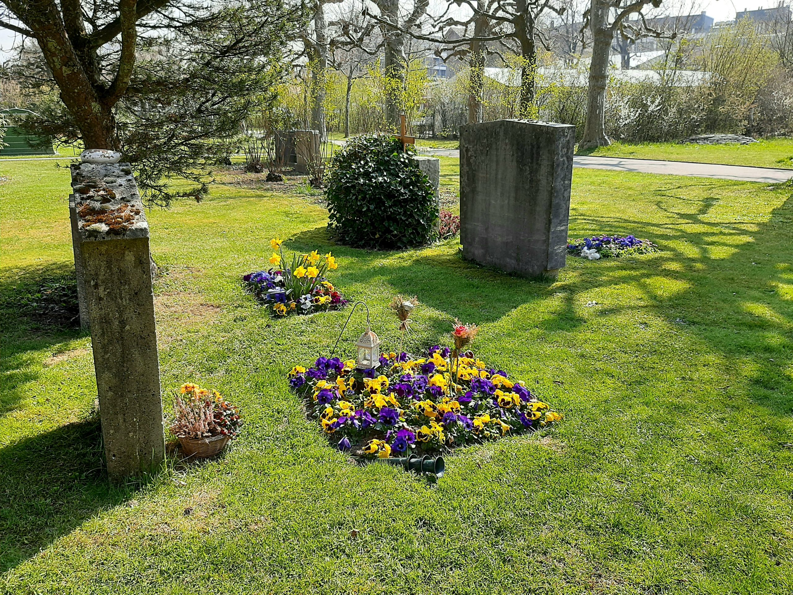 Meditation Bern im Bremgartenfriedhof mit Zen Mönch Marcel Reding