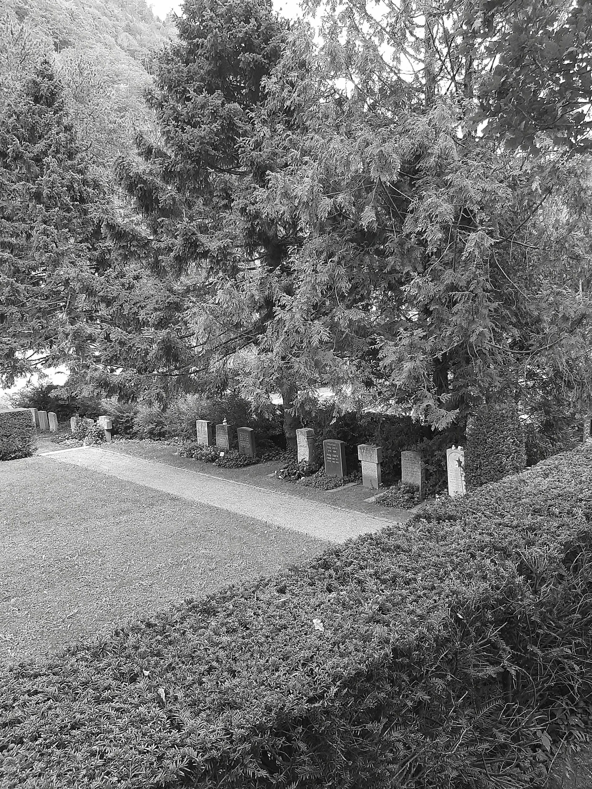 Meditation Chur im Friedhof Totengut mit Zen Mönch Marcel Reding