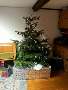 Christmas at the honora zen monastery in switzerland with abbot reding