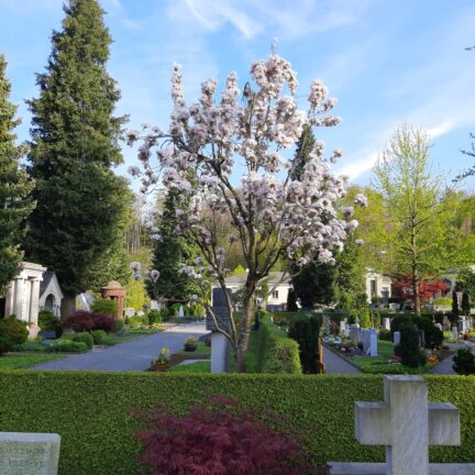 Memorial Service in Switzerland with zen monk Marcel Reding