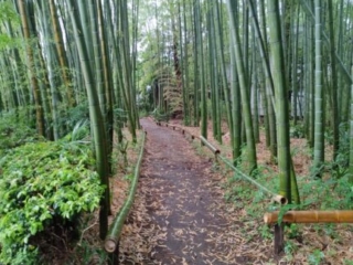 Enshoin Zen Tempel Tokyo Japan