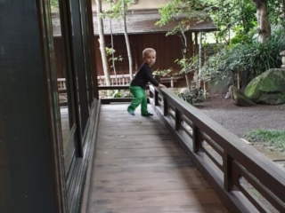 Enshoin Zen Tempel Tokyo Japan