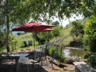 Teich - Honora Zen Kloster