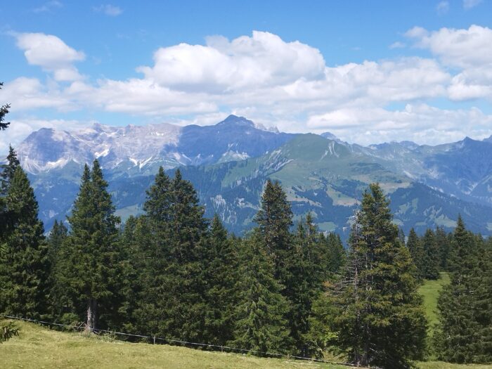 Monatliches Zen Meditationswochenende Grüsch-Danusa - Berghaus Schwänzelegg