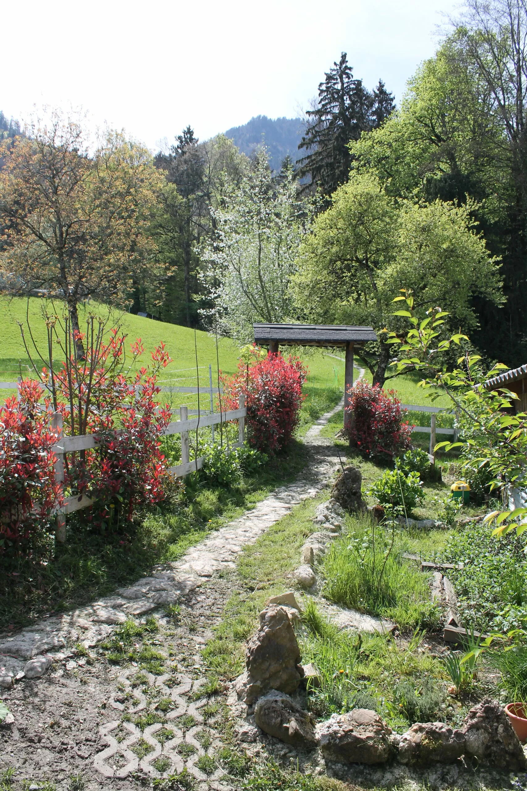 Honora Zen Kloster - Meditationszentrum in Reichenburg in der Schweiz