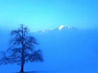 Winter Meditation im Meditationszentrum Honora Zen Kloster mit Zen Mönch Abt Reding