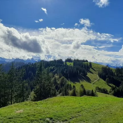 September Meditationswoche im Honora Zen Kloster