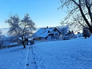 Abhärtungstraining im Honora Zen Kloster - Meditationszentrum - Schweiz