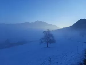 Honora Zen Kloster - Meditationszentrum - Schweiz