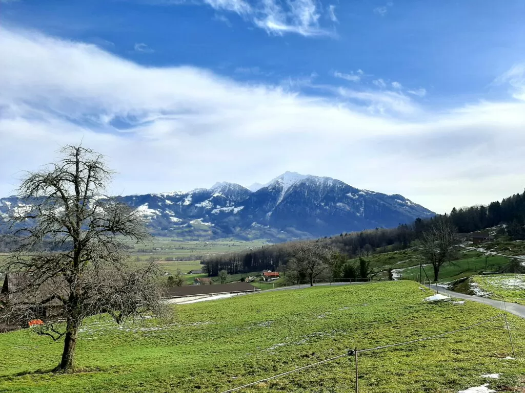 März Zen Retreat Meditation im Meditationszentrum Honora Zen Kloster