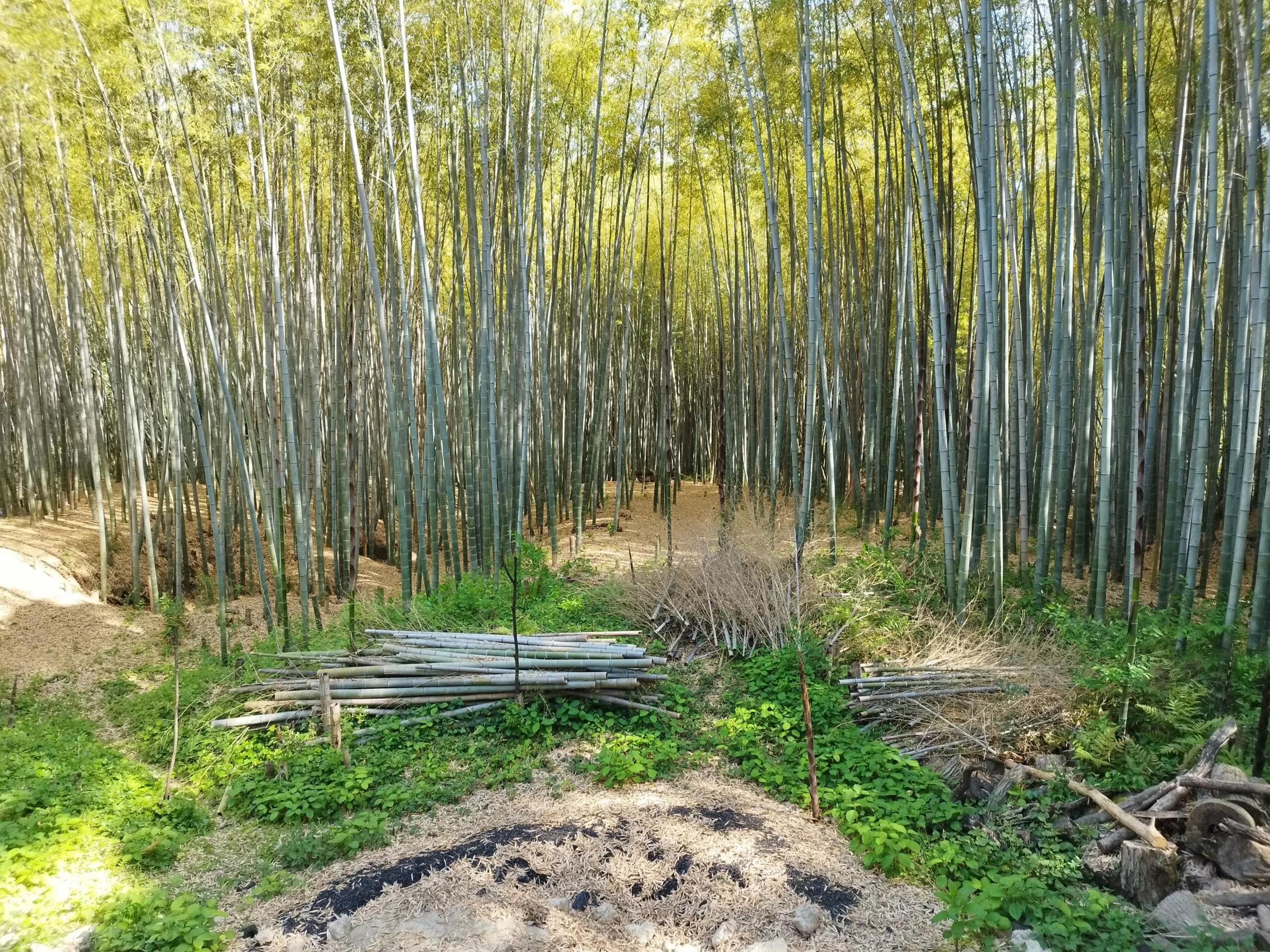 Empukuji Zen Kloster Kyoto Japan